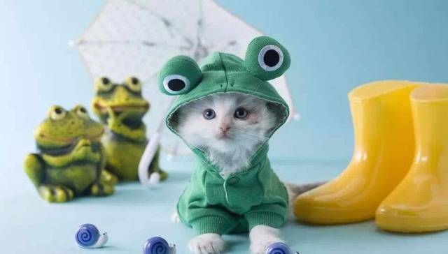 还在撸猫？区块链都能撸出个动物园了