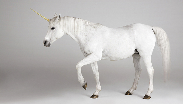 证监会：独角兽回归仍处于研究阶段 会积极推动相关项目落实