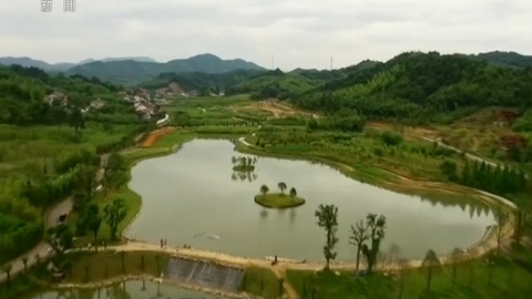 【在习近平新时代中国特色社会主义思想指引下——新时代 新气象 新作为】鲁家村产业振兴的启示