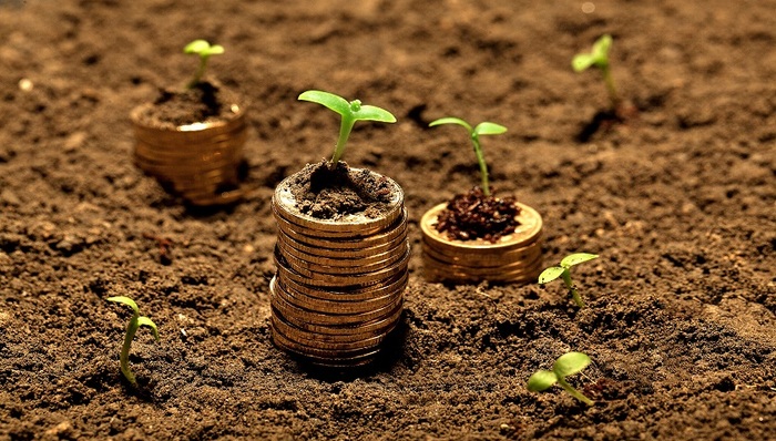 投连险,泰康人寿