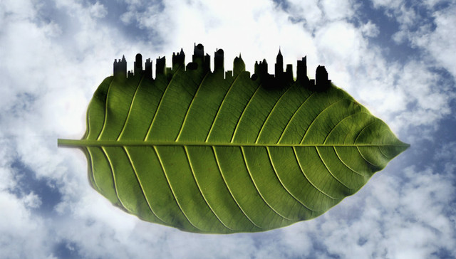 绿发会,信宜市公安局,环境保护