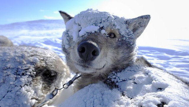 讲一波冷笑话，你不要脱衣服噢