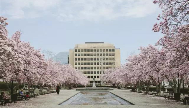 人间四月天，只想恋爱，不想上班