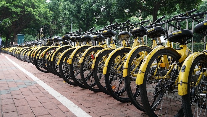 男孩,共享单车,车祸,ofo,保险公司,法庭,判决