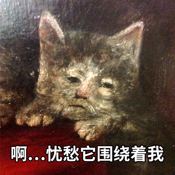 猫其实丑丑的，你不要被骗了