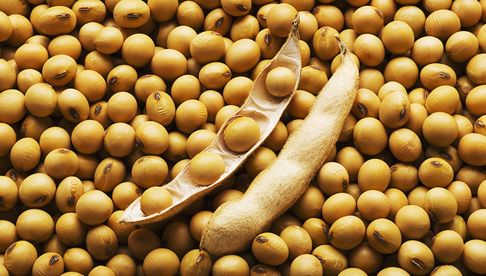 关税,高考,暴雪天气,界面晚报