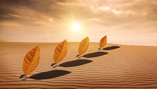 创新,目标,计划,考核,绩效评价,下属,效率