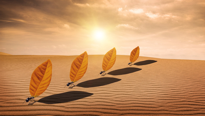 创新,目标,计划,考核,绩效评价,下属,效率