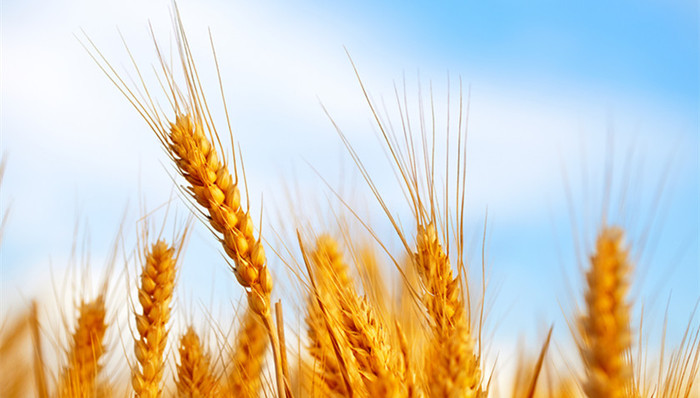 红水浇地,渗坑排污,央视调查