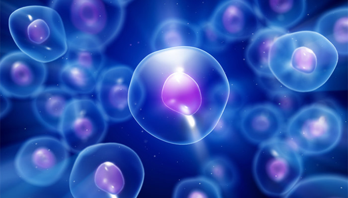 返老还童,细胞,魔法药水