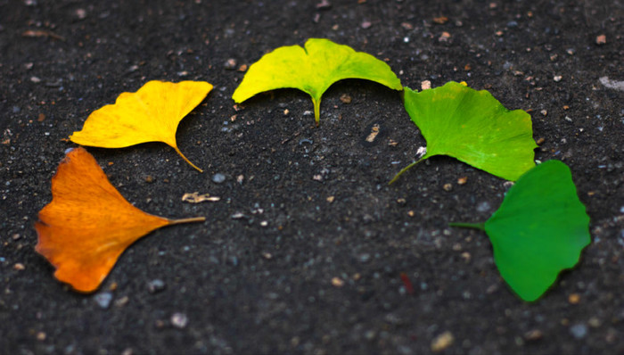 谷歌,微软,数字化,Alphabet,亚马逊,SWAT,跨职能