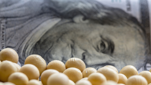 持久战,特朗普,关税