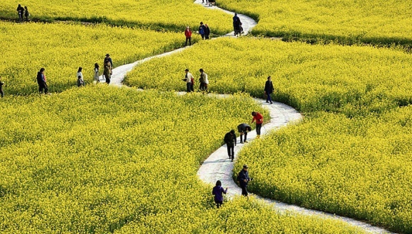 文化和旅游部：清明节国内游人数破亿人次，无重特大安全事件