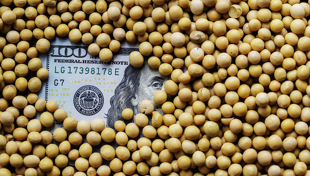 北大荒,贸易战,大豆