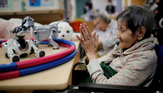 Reif,Silverwing,博客,日本当局,照顾老人,日本经济,日本政府,老年人,Paro,Sh