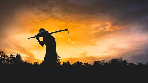 郑雄：以远见、担当、实干“易容”家乡