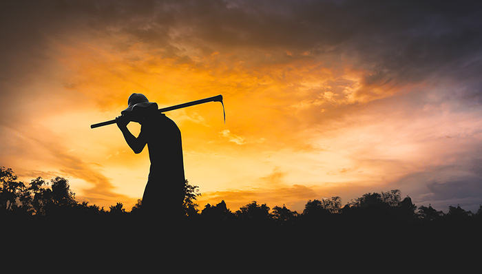 郑雄,易容,红叶石楠,全国劳动模范,村集体,土老憨,村民,湖山村新农村建设总体规划,农户,远见