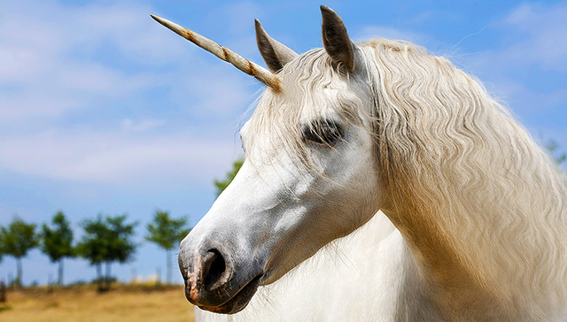 任泽平：如何防止独角兽变“毒角兽”？