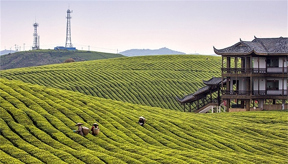 【界面早报】11城被列入今年重点整治传销城市 今日头条永久关停“内涵段子”等产品