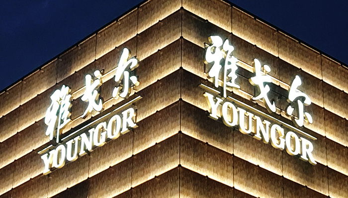 雅戈尔，中信股份