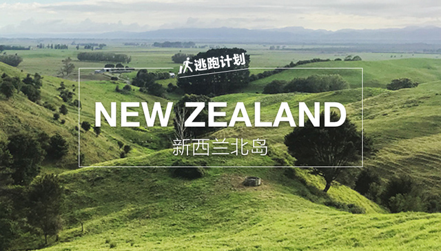 新西兰、新西兰航空