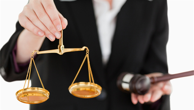 山东省,律师挂职,,司法公正