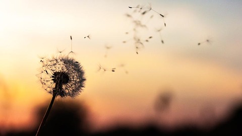 【汶川十年】互联网公司里的公益人