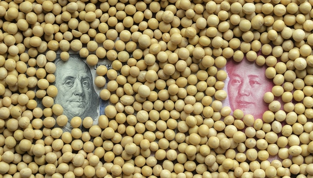 【财经数据】中国13个月来首现贸易逆差 一季度大豆进口同比增0.2%