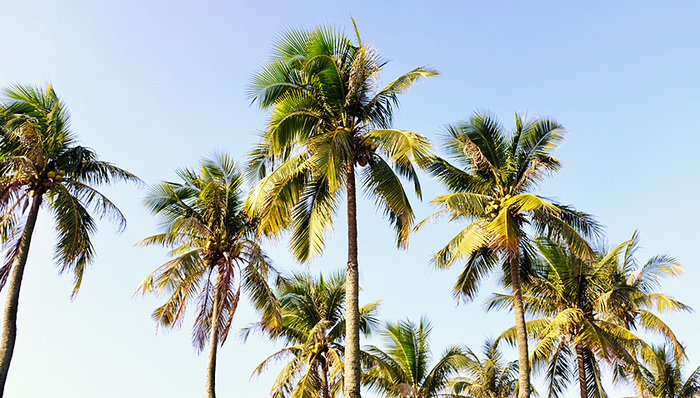 竞猜型体育彩票,旅游消费,旅游发展,意见,旅游产品,旅游收入,旅游项目,旅游酒店,旅游客流量,旅游目