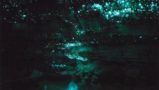 走，带你去萤火虫洞看银河