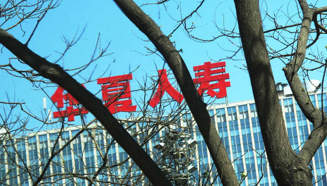 资本博弈华夏人寿：常青树还是一现昙花？