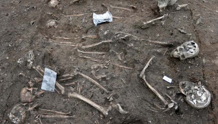 历史,文明,人类学