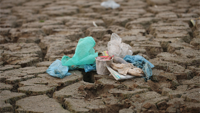 经济半小时,洪洞县,偷排,工业废渣,企业排污,工业废物,村民,村干部,小麦生长,沟里村