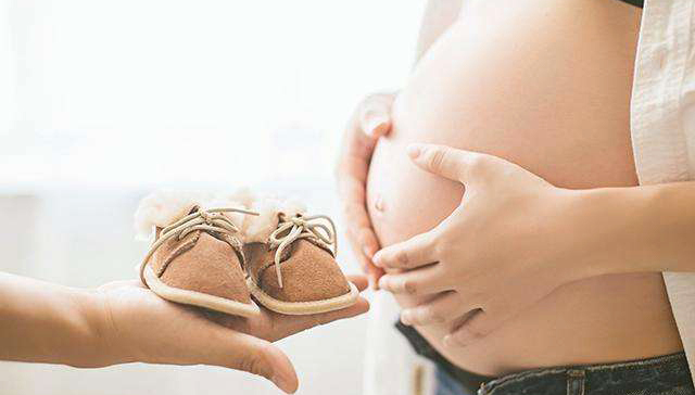 育儿,柳叶刀,受孕,饮食,科学研究