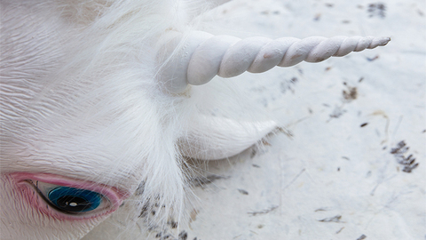 【深度】抢夺独角兽