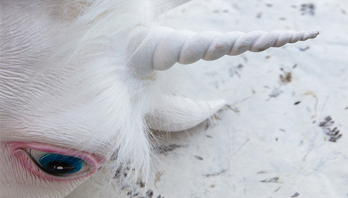 【深度】抢夺独角兽