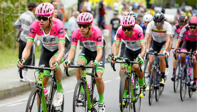 冠名环法车队、赞助奥运赛事 传统教育品牌也杀入体育营销