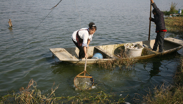 红水浇地,辉丰,中原工学院,内黄陶瓷园,江西殡葬,