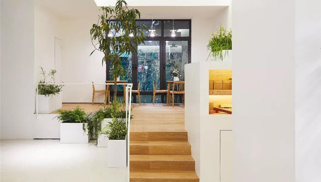 法国教授在天安门对面开了间甜品店，不仅好吃，还做成了艺术