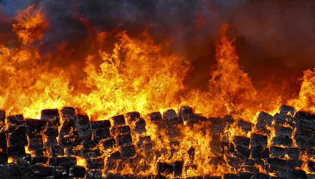 美国缉毒局,美国司法部,内部调查