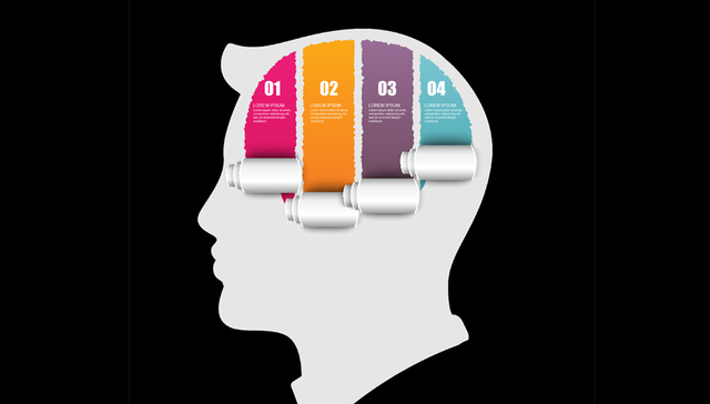 认知资源,黄金三角形,习惯养成,大脑,好习惯,神经元,小鼠,生理实验,养成习惯,基底核