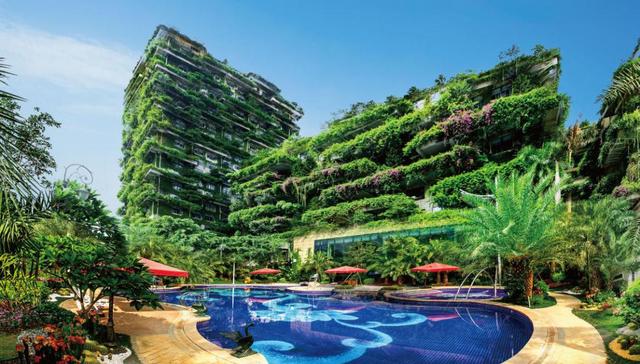 从设计师到区域总裁：一个碧桂园人17年的设计人生