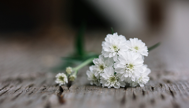 央视,殡葬改革,风水先生