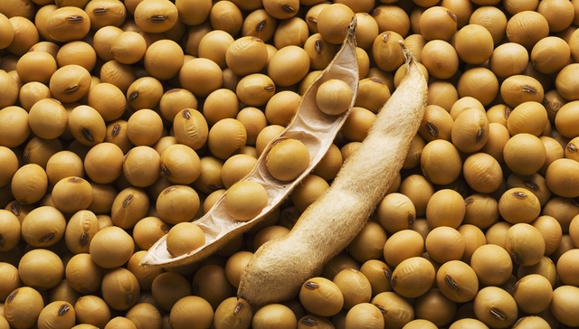 【财经数据】中国3月进口美国大豆同比少27% 人民币中间价创3周最大跌幅