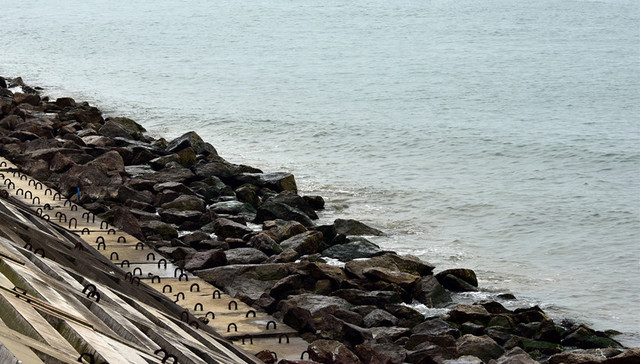 填海面积,海洋局,生态环境