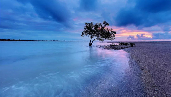 跟着当红摄影师，捕捉达尔文最美风景