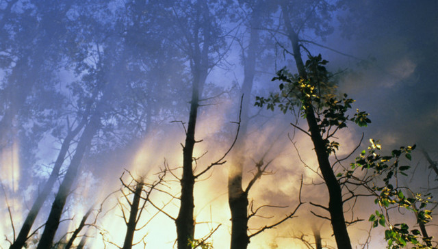臭氧超标问题日益显现 专家：需“一城一策”制定详细的协同减排方案