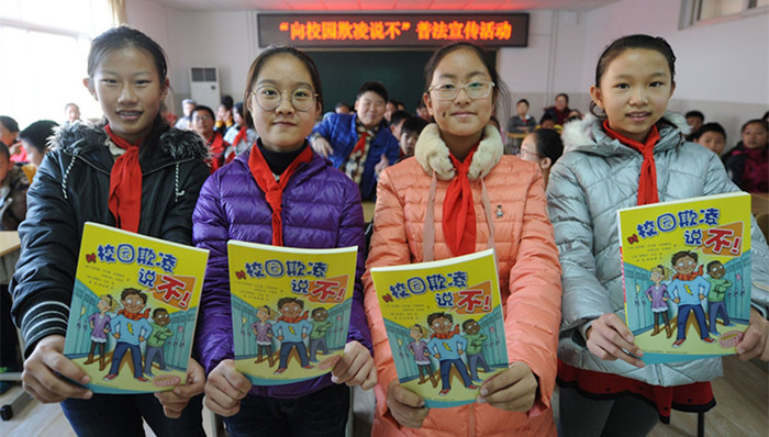 国家教育督导委员会,校园欺凌,责任体系