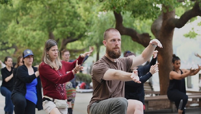 太极,中国文化,欧洲