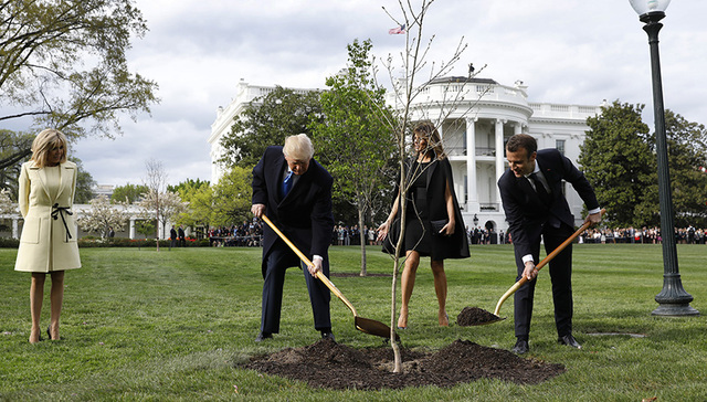 马克龙赠特朗普树苗神秘“消失” 网友调侃会谈零成果